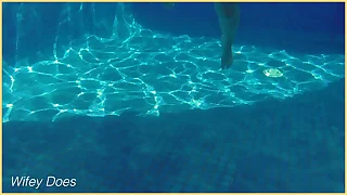 1076 outdoor porn videos